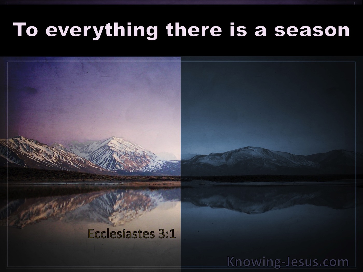 Ecclesiastes 3:1 To Everything There Is A Season (purple)
